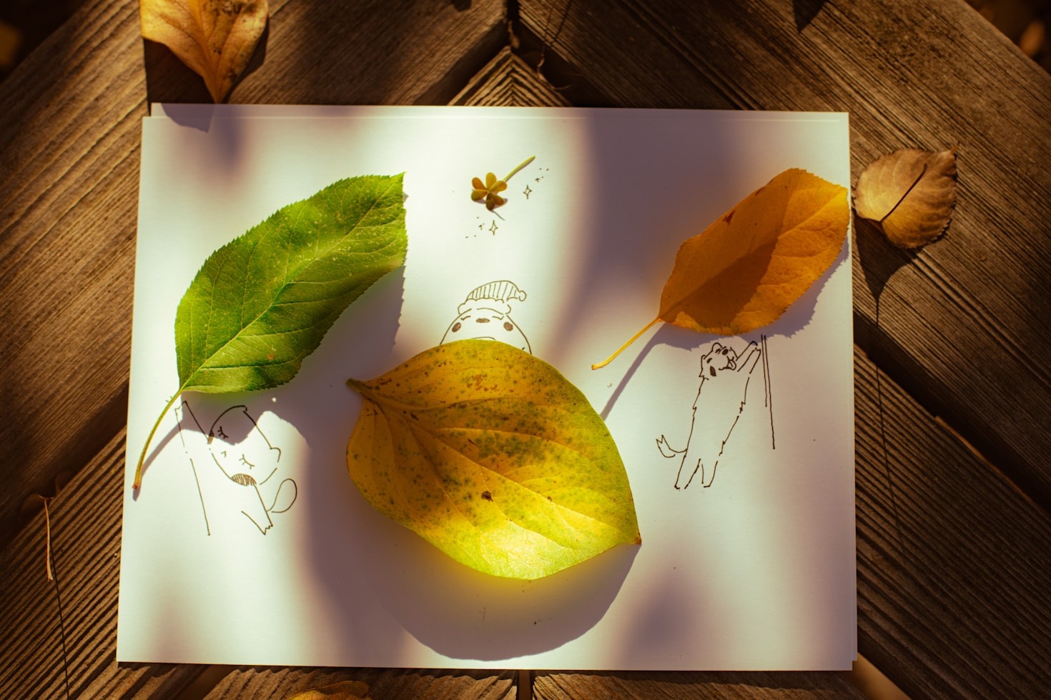 Exploring the Magic of Visual Storytelling